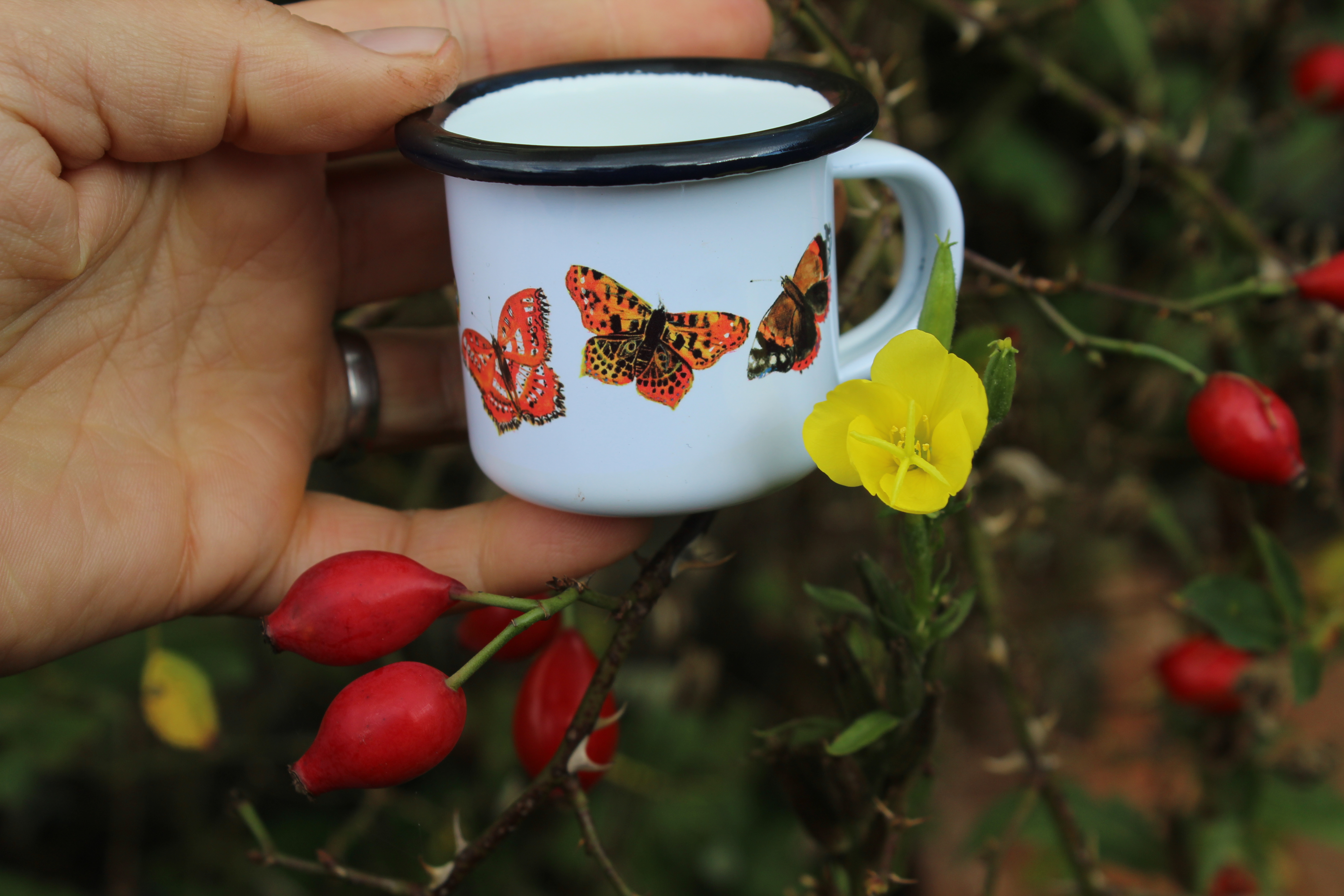 Mini plecháček motýli