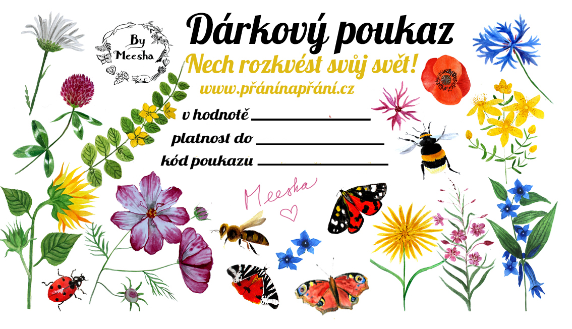 Dárkový poukaz Dárkový poukaz
