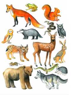 Plakát lesní zvířátka A3