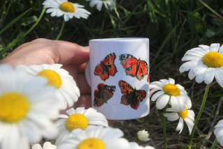 Mini keramický ristretto motýli