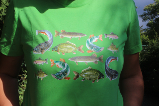 Triko ryby zelené pánské krátký rukáv
